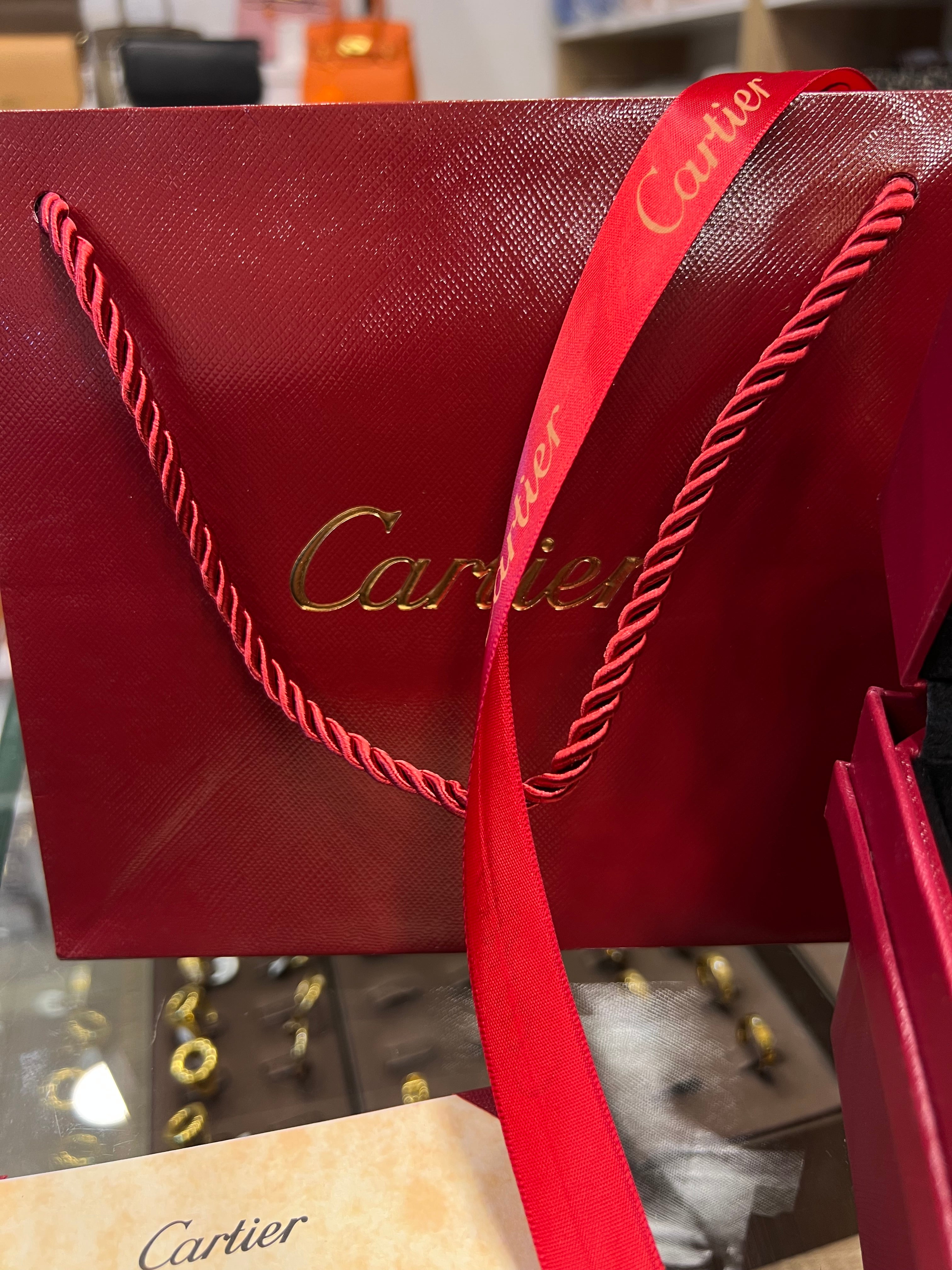 CARTIER LOVE PENDANT Necklace