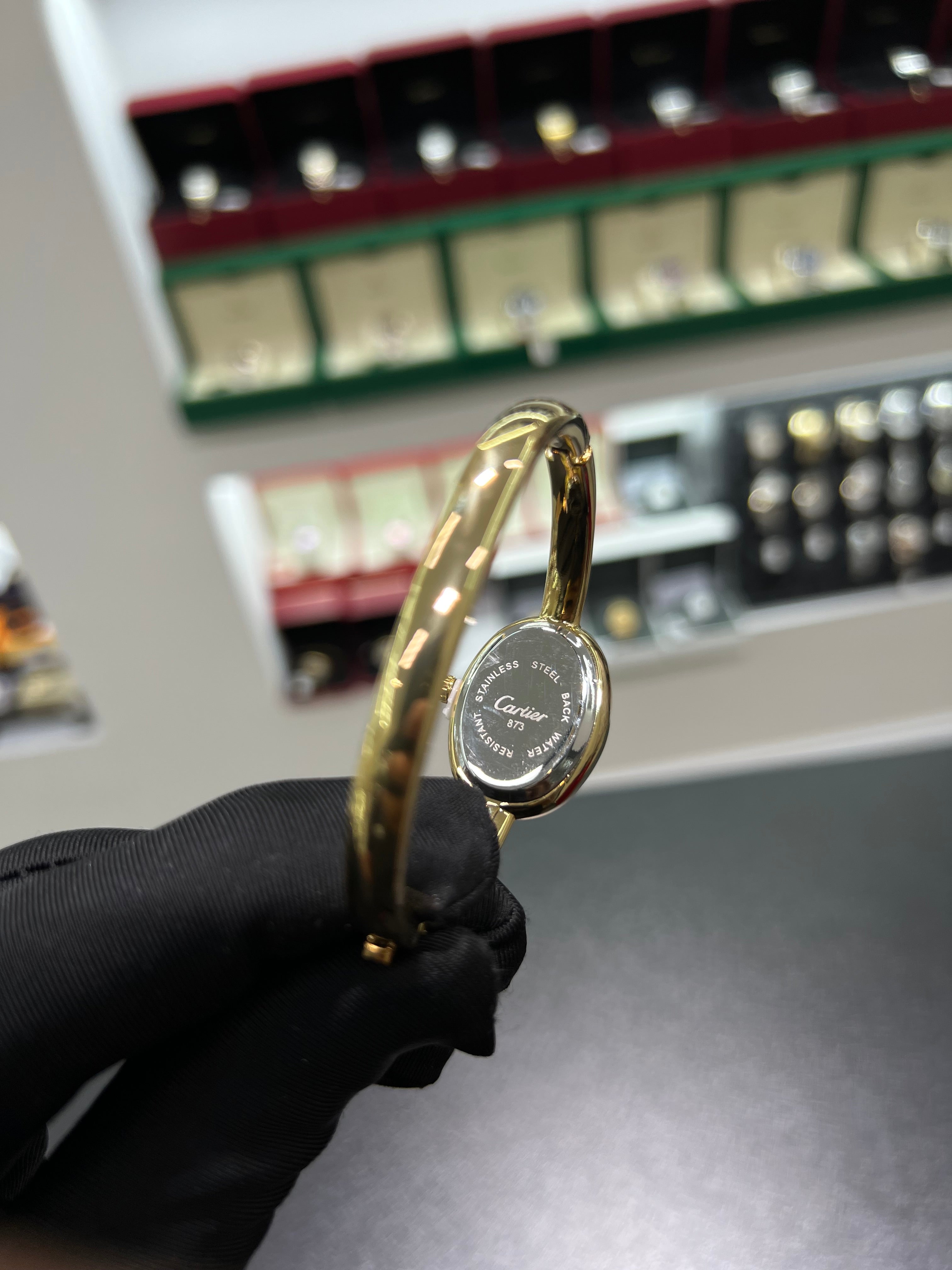 CARTIĖR BAIGNOIRĖ GOLD STEEL