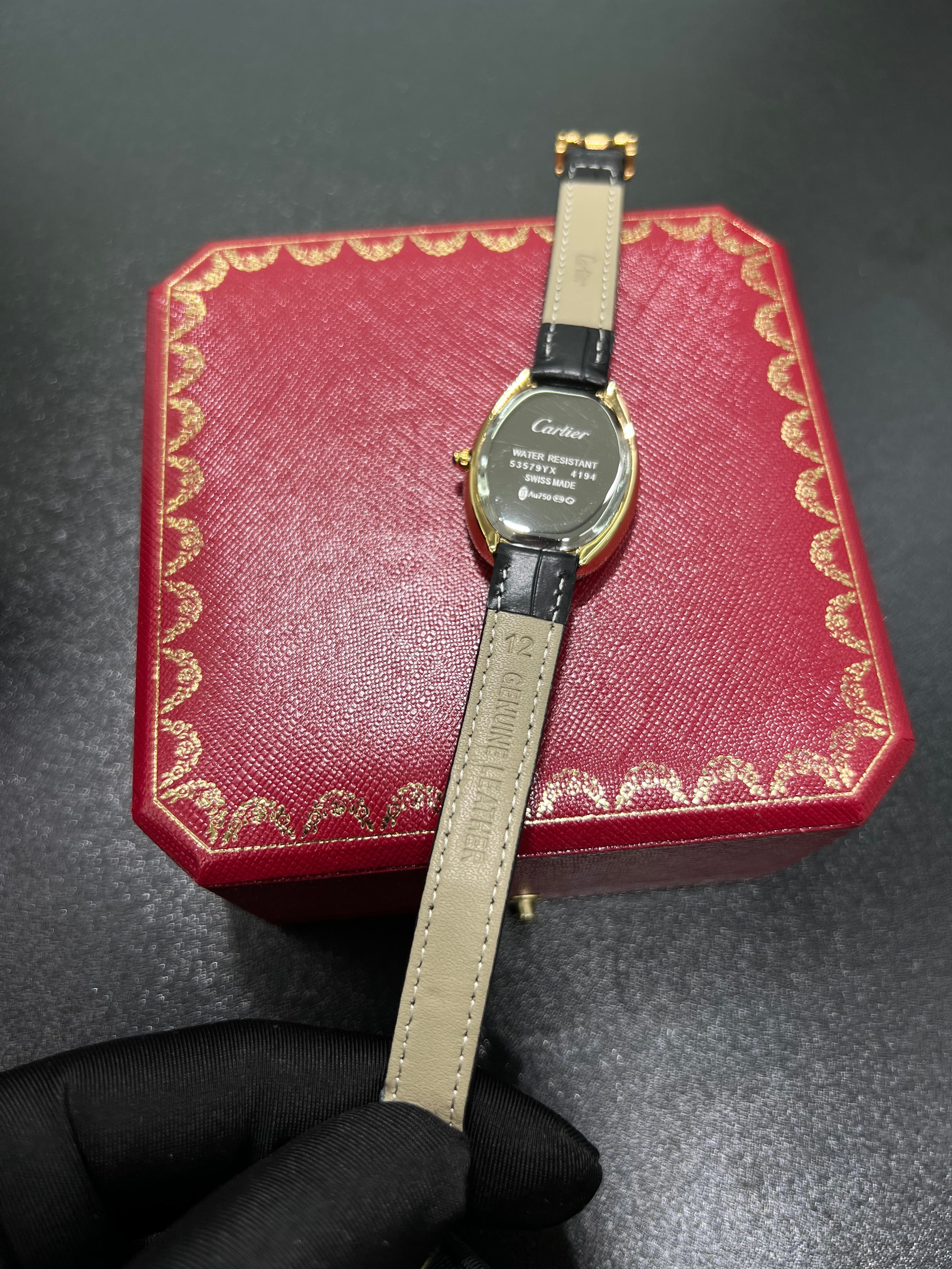 CARTIĖR BAIGNOIRĖ BLACK LEATHER